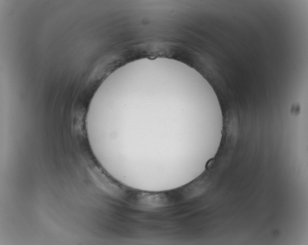 X0000112170185200909041159