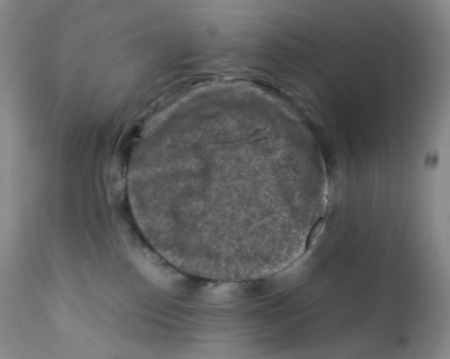 X0000112170186200909041159