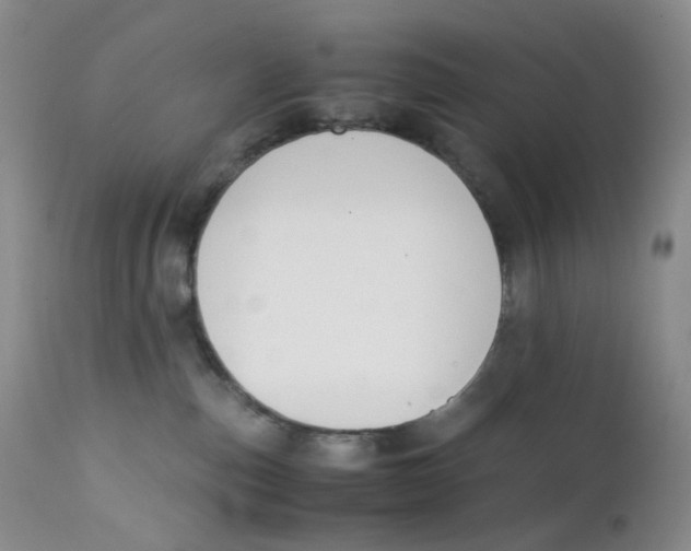 X0000112170187200909041200