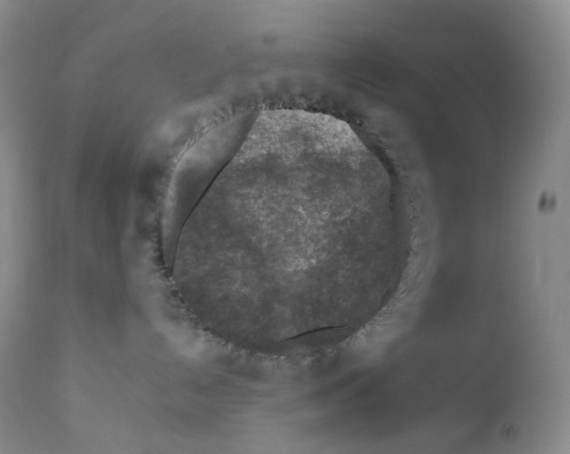 X0000112170192200909041200