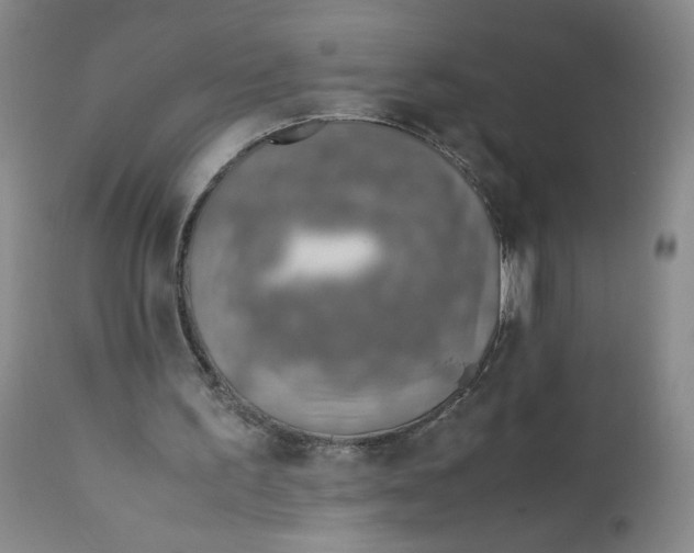 X0000112170195200909041159