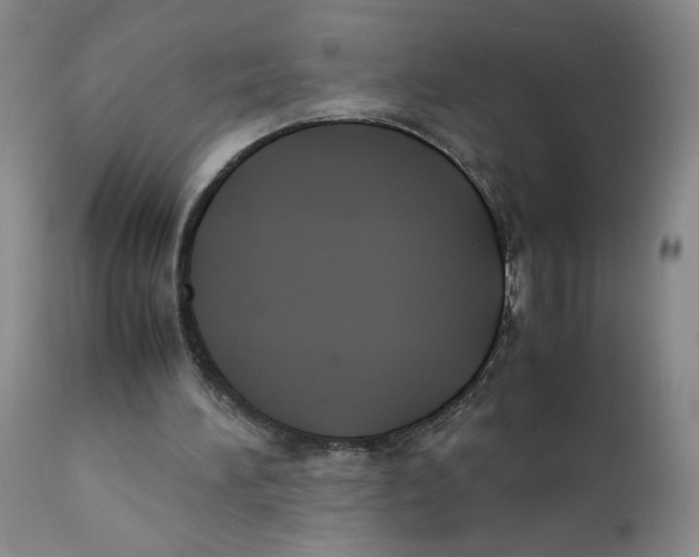 X0000112170196200909041159