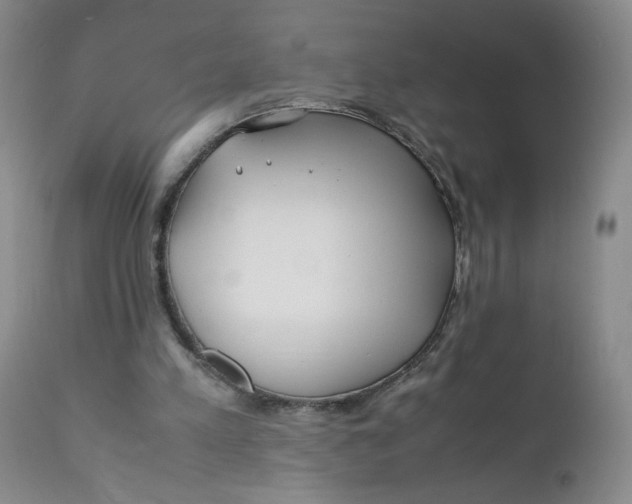 X0000112170197200909041159