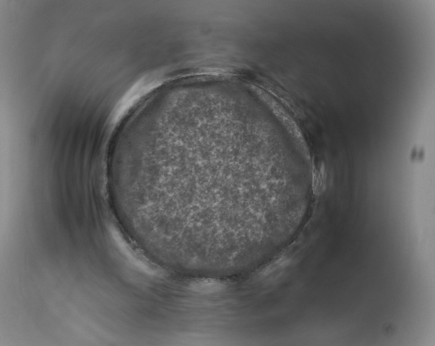 X0000112170198200909041159