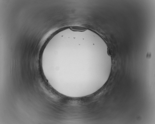 X0000112170200200909041159