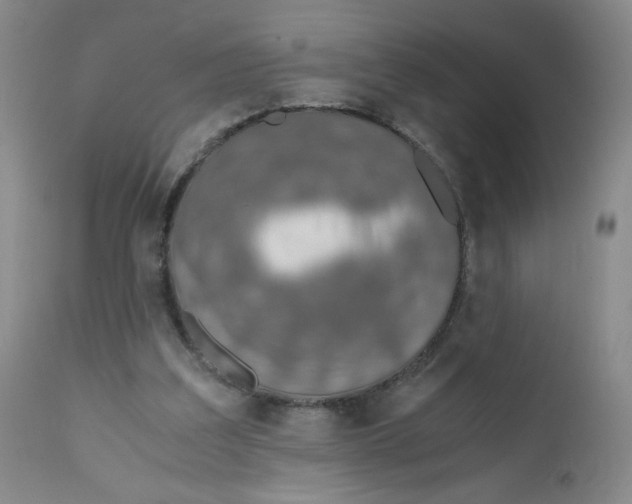 X0000112170203200909041159