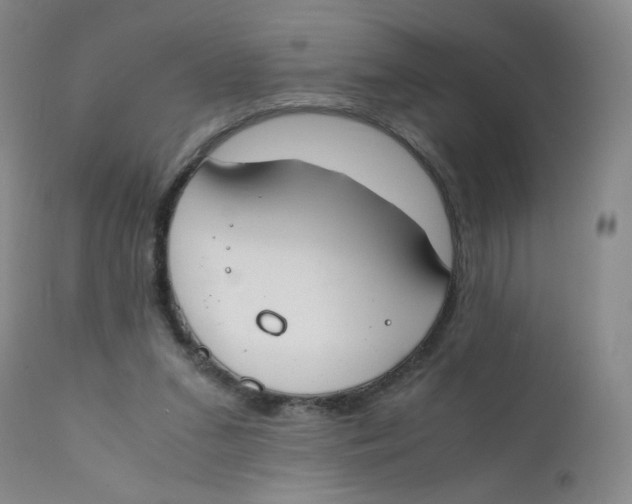 X0000112170207200909041159