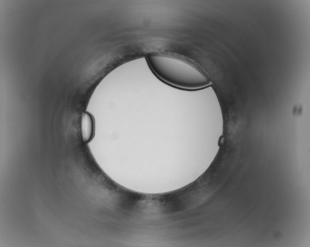 X0000112170211200909041159