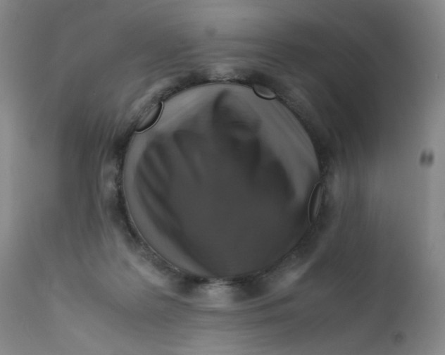 X0000112170219200909041159