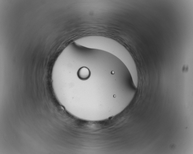 X0000112170221200909041159