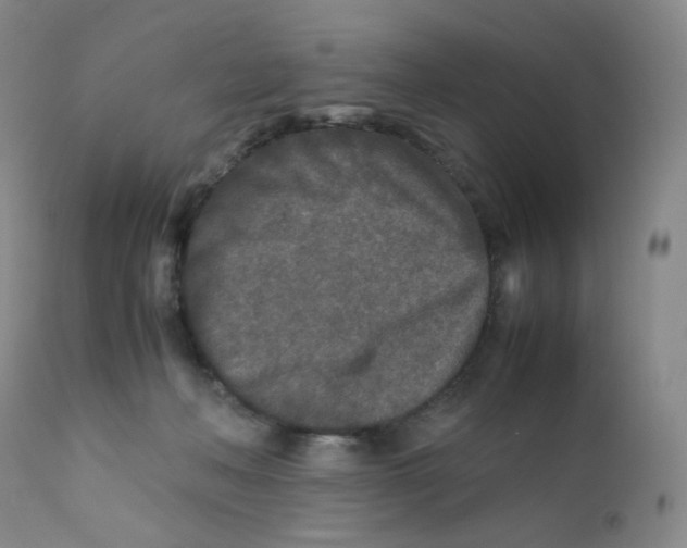 X0000112170222200909041159