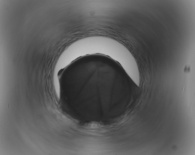 X0000112170223200909041159