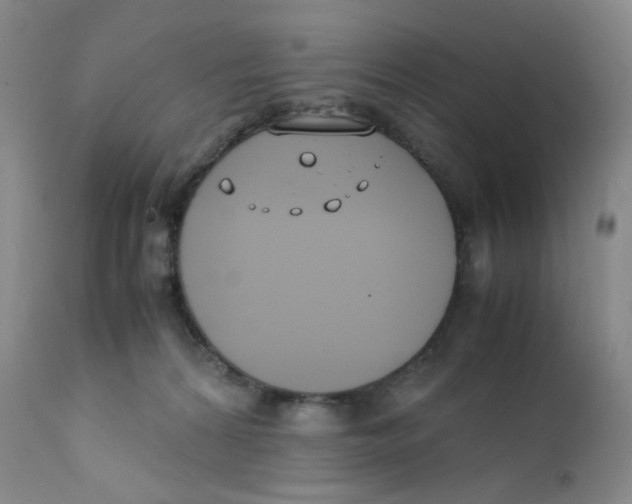 X0000112170224200909041158