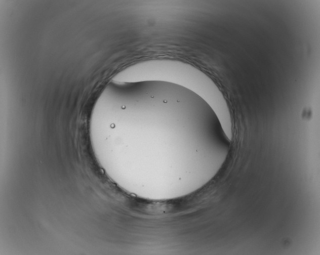 X0000112170225200909041158