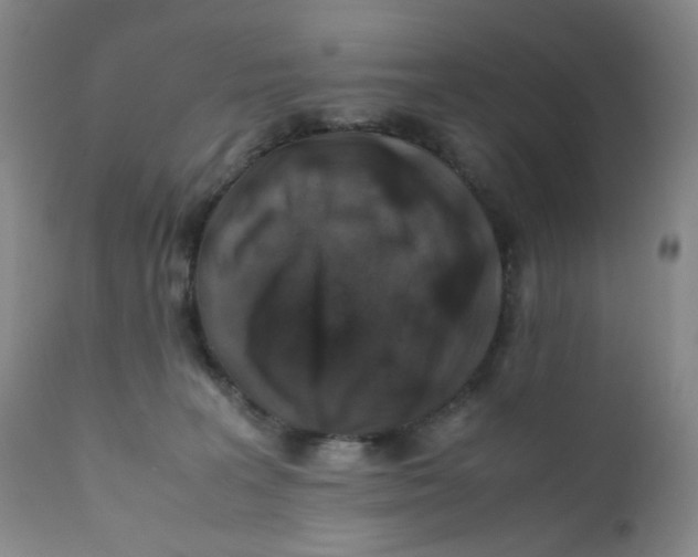 X0000112170227200909041158