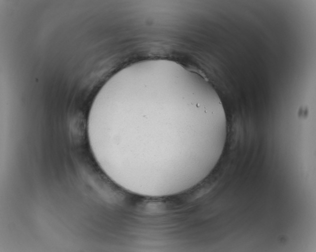 X0000112170228200909041158