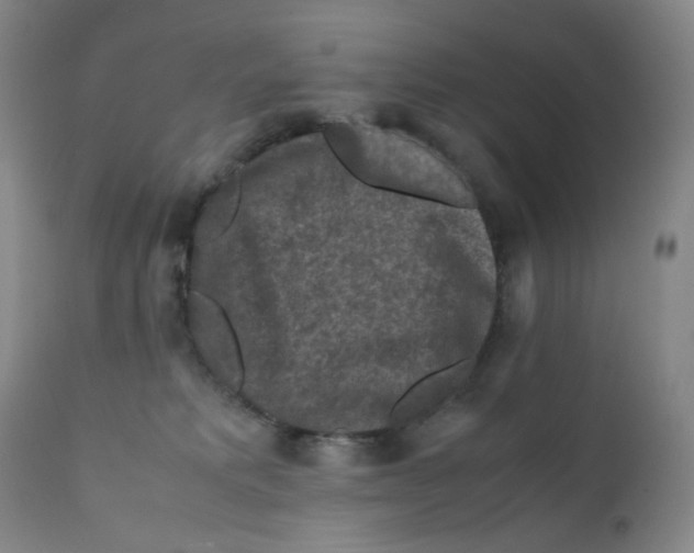 X0000112170229200909041158