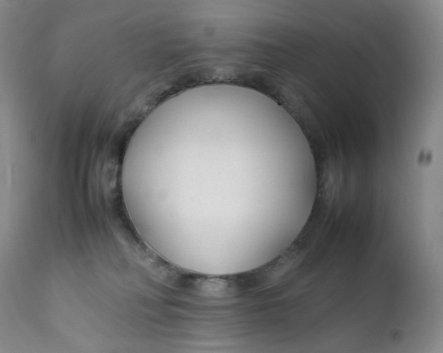 X0000112170230200909041158