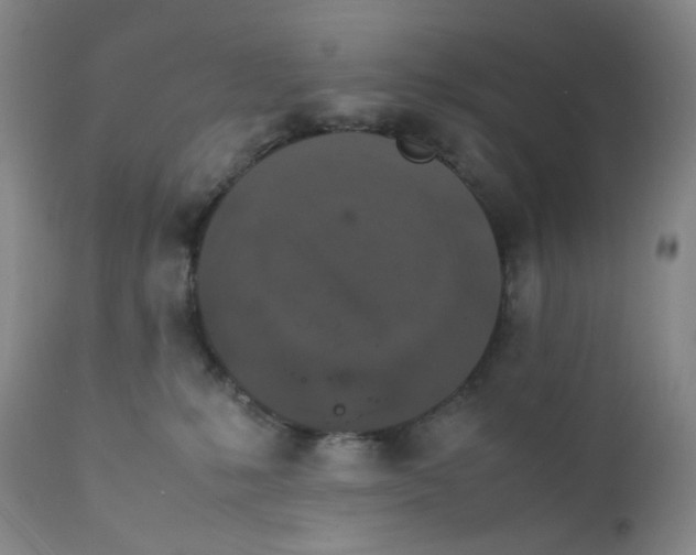 X0000112170231200909041158