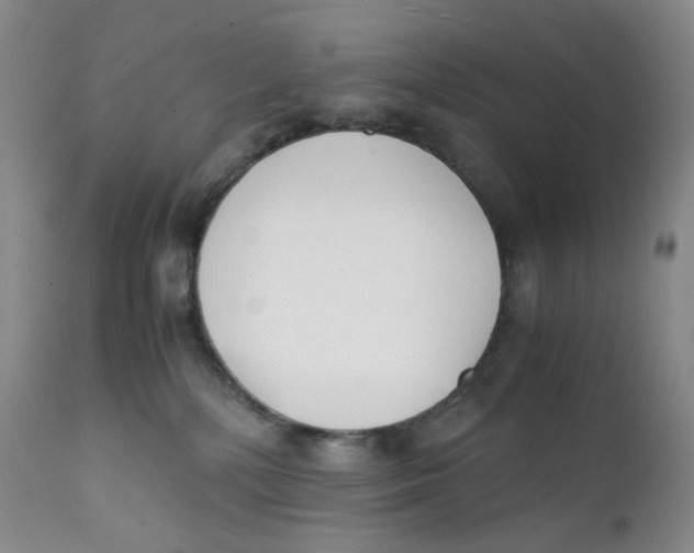 X0000112170232200909041158