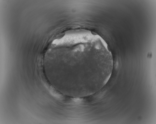 X0000112170233200909041158