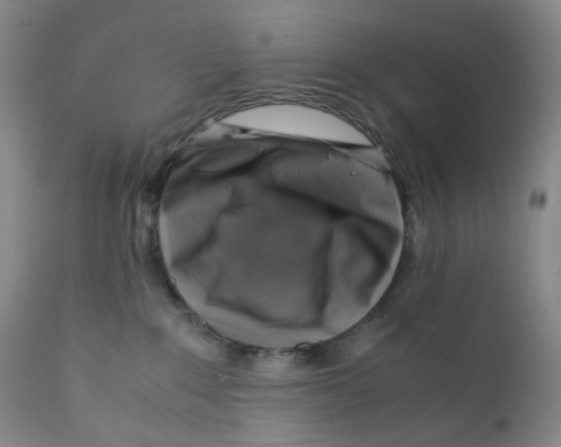 X0000112170235200909041158