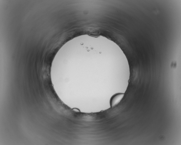 X0000112170236200909041158