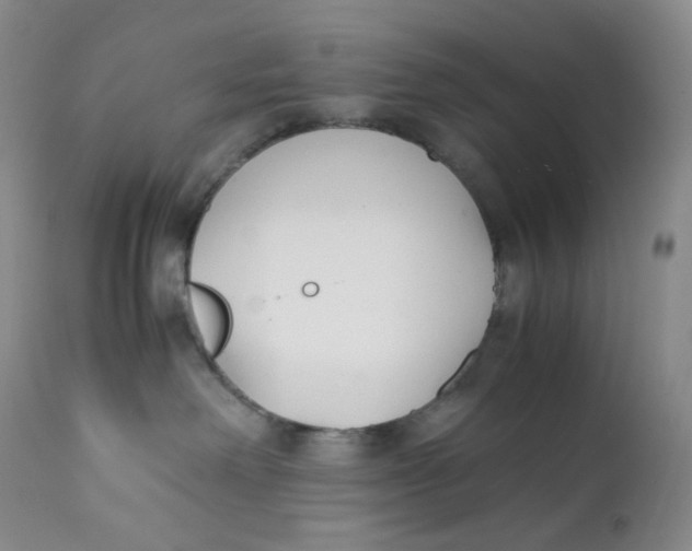 X0000112170238200909041158