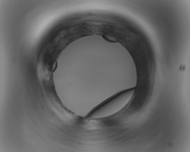 X0000112170239200909041158