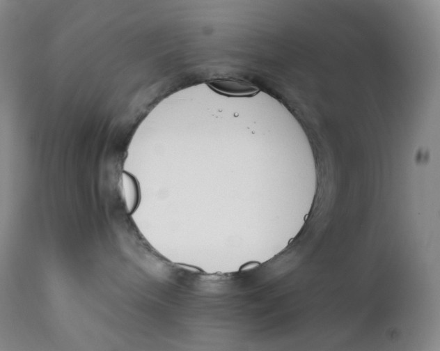 X0000112170240200909041158