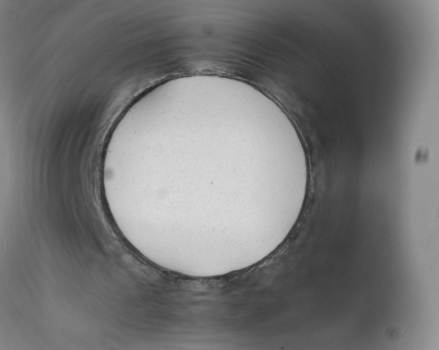 X0000112170241200909041157