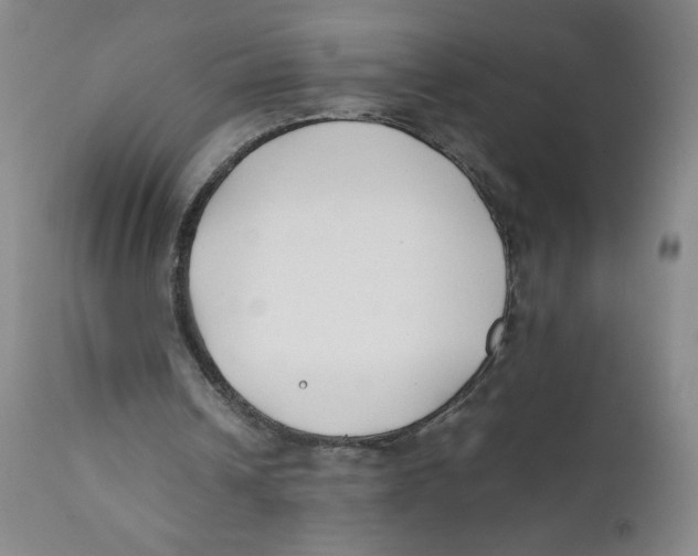 X0000112170242200909041157