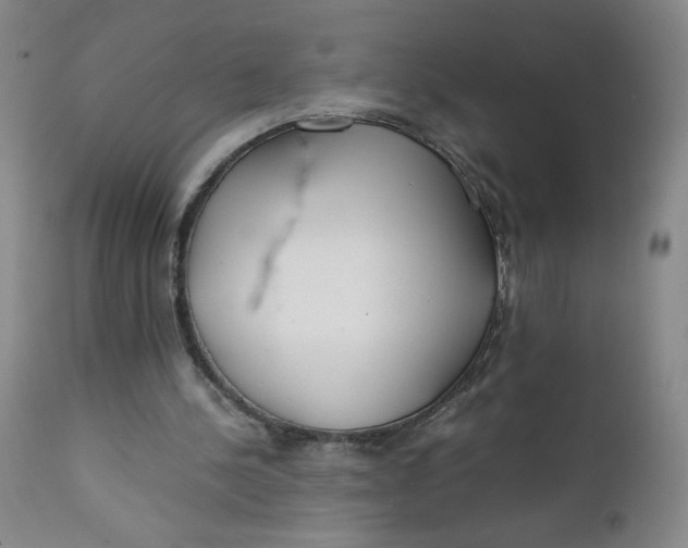 X0000112170244200909041157