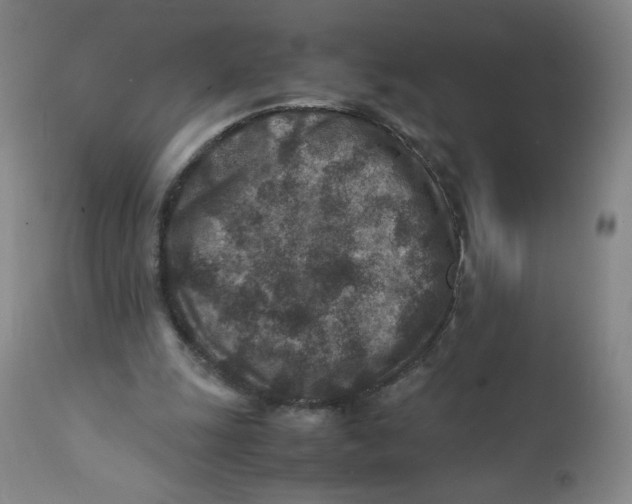 X0000112170247200909041158