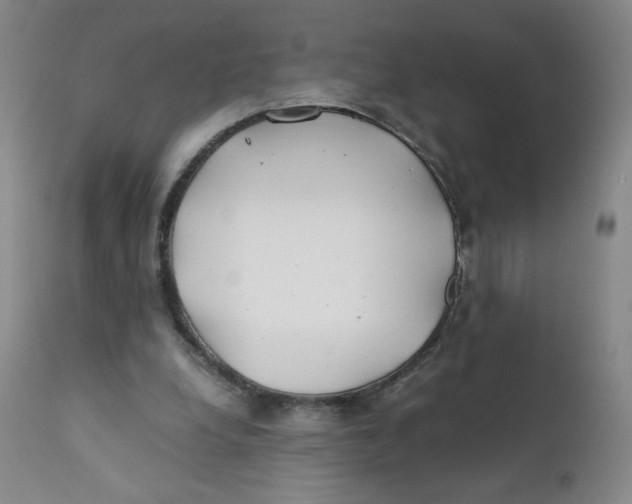 X0000112170248200909041158