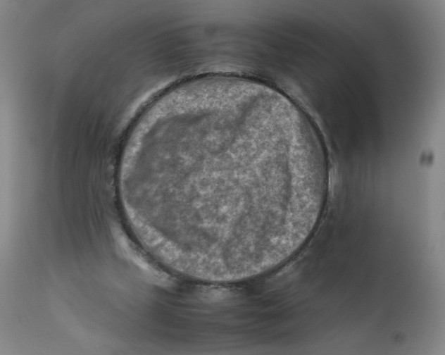 X0000112170249200909041158