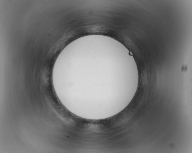 X0000112170255200909041158