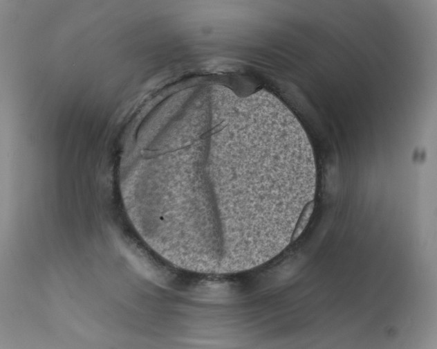 X0000112170260200909041158