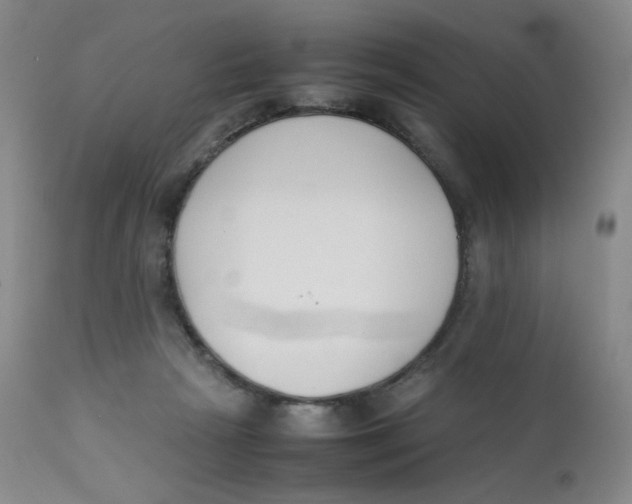 X0000112170265200909041158