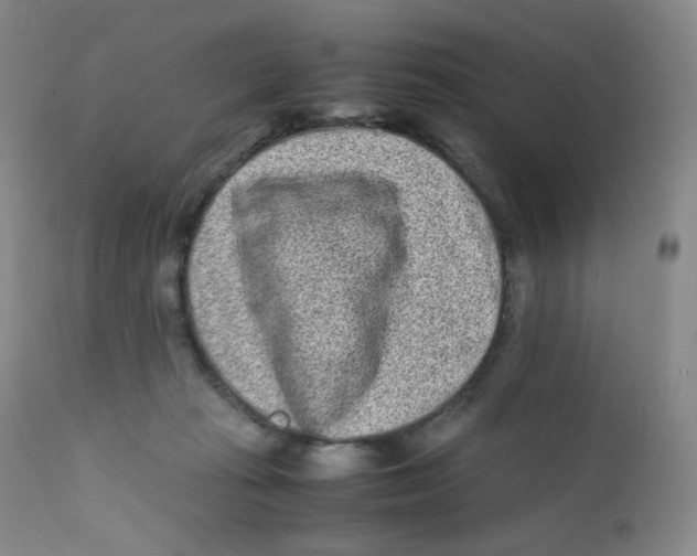 X0000112170269200909041158