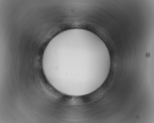 X0000112170270200909041158