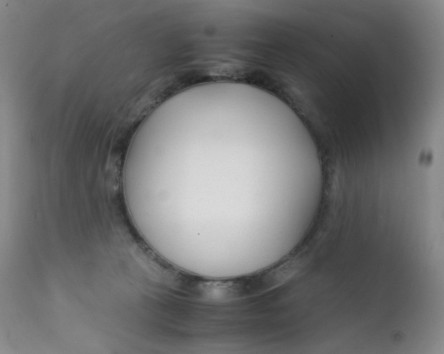 X0000112170273200909041158