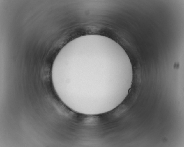 X0000112170274200909041158