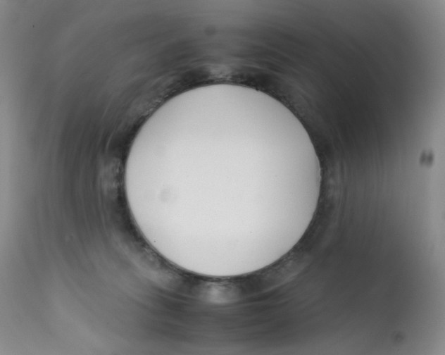 X0000112170275200909041158