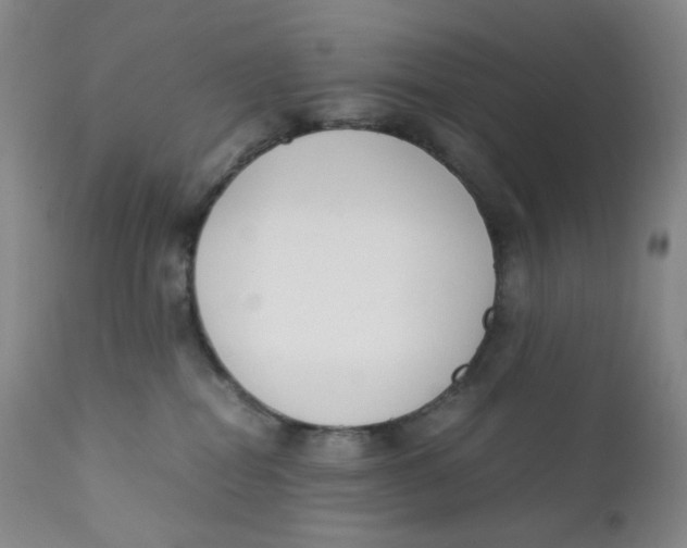 X0000112170282200909041158