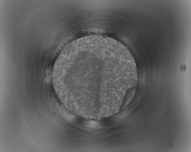 X0000112170285200909041158