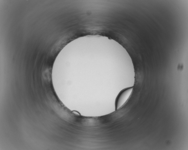 X0000112170286200909041158