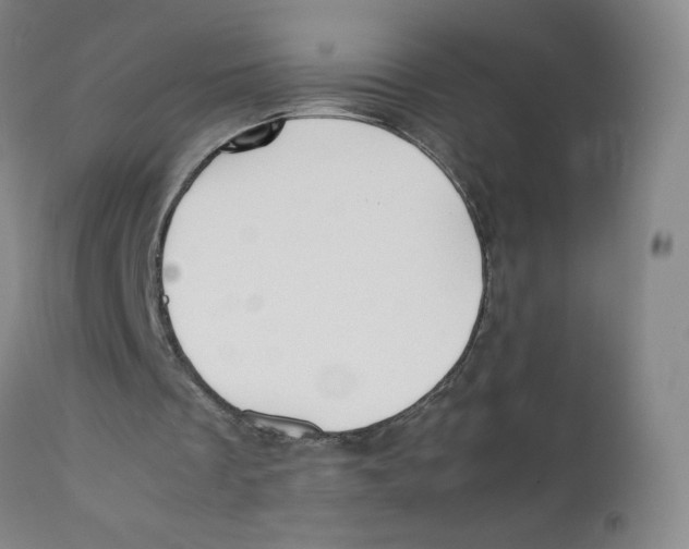 X0000112170289200909041157