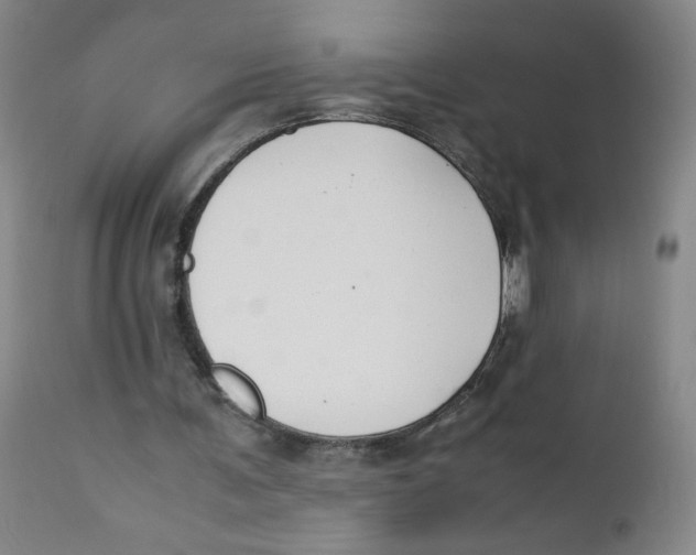 X0000112170291200909041157