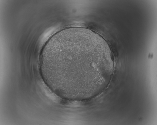 X0000112170293200909041157